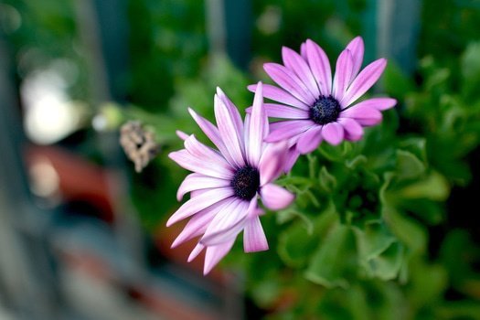 pexels-photo-7534-medium.jpg